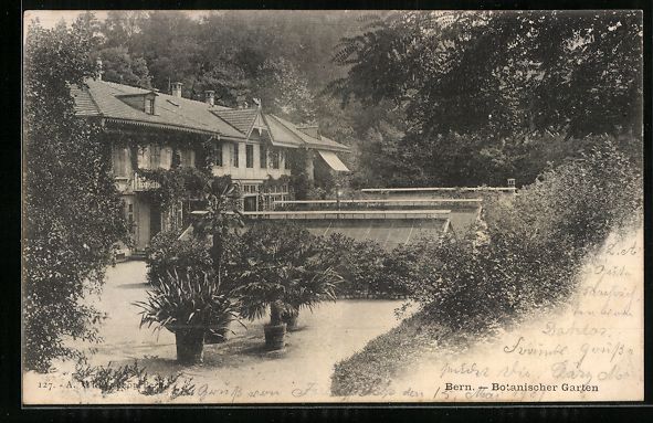 Ansichtskarten: AK Bern, Botanischer Garten, 1901 – Gebraucht aus Berlin von bartko-reher