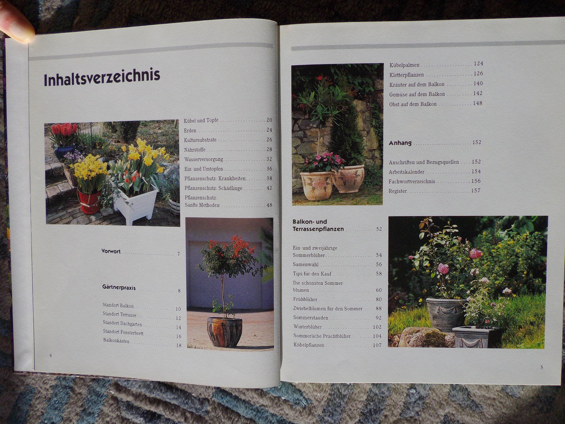 Libri: Gärtnern auf Terrasse und Balkon – Usato da Uster venduto da urs_75by 2
