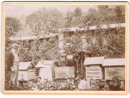 Fotografie F. Dragont, Maudon, Imker mit