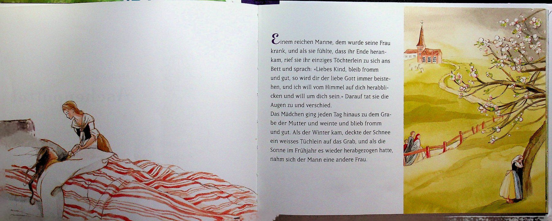 Libri: Brüder Grimm: Aschenputtel Bilder Ulrike Haseloff – Usato da Reitnau venduto da Zaomir 2