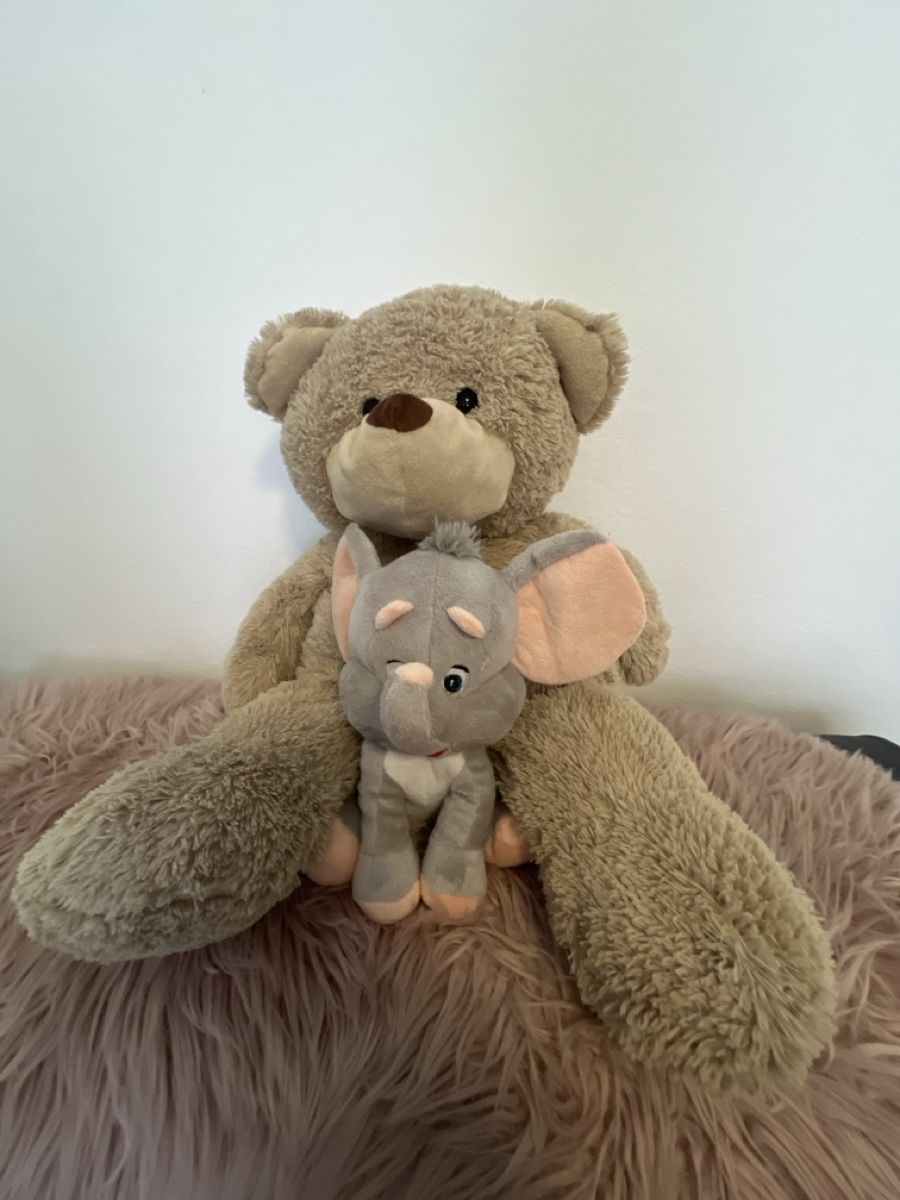 Giocattoli: Süsser Kuscheltier Elefant und Teddybär. – Usato da Villmergen venduto da KIWI7983