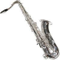 Tenor Saxophon Silber mit Koffer, Mundstück, Blättchen