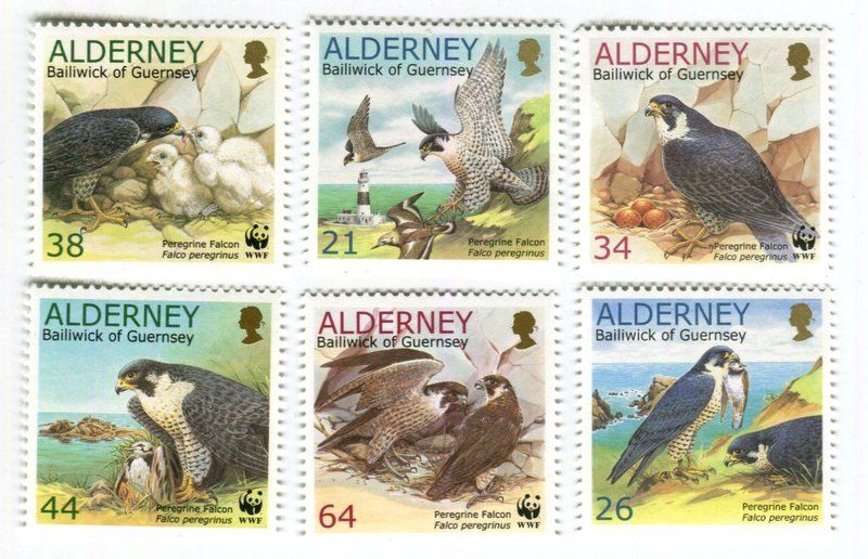 Tous les timbres: Briefmarken "Wanderfalke". Alderney. – Neuf avec emballage d'origine à Basel par Butsch5