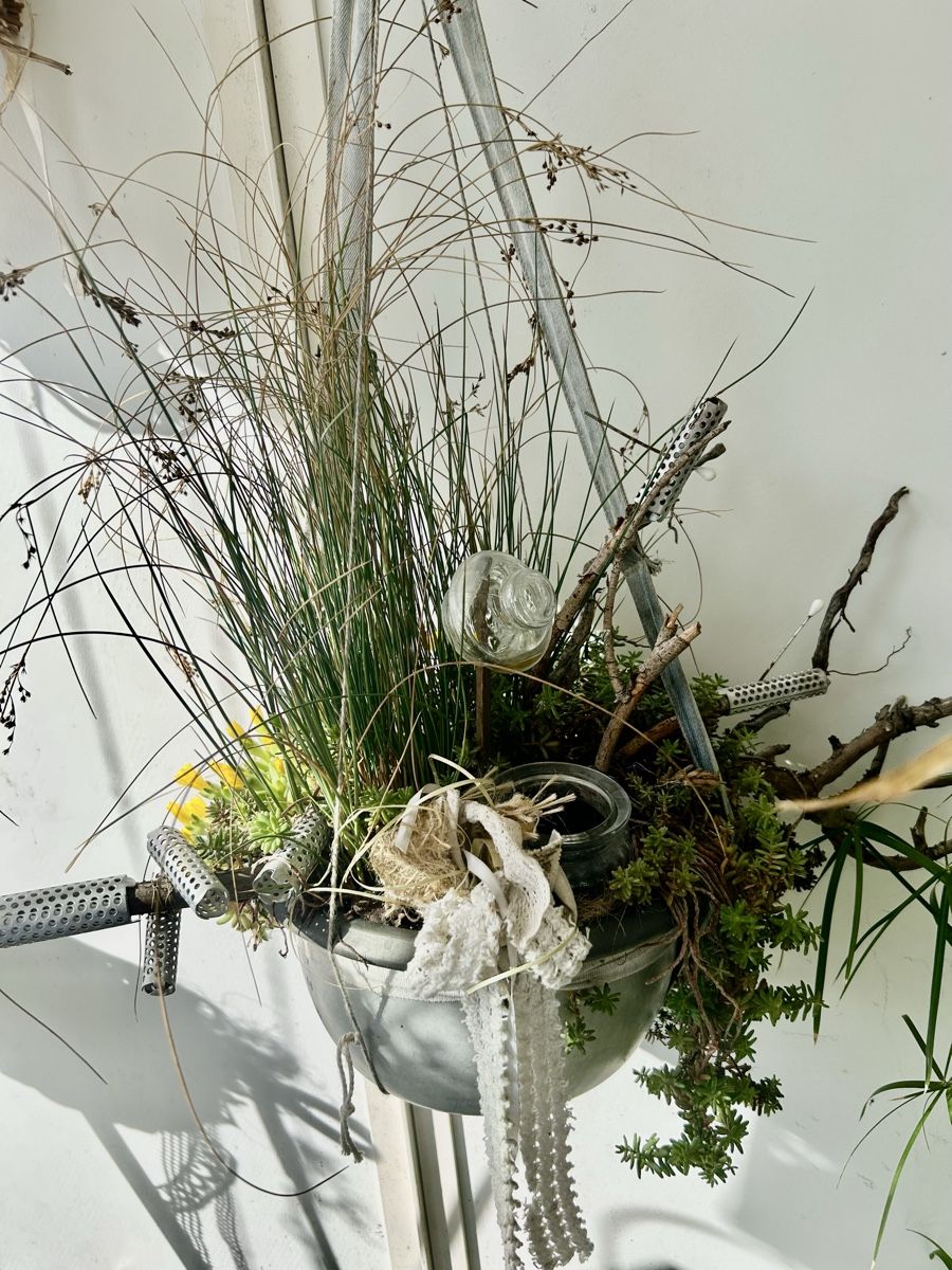 Blumentöpfe: Blumenampel  – Gebraucht aus Frauenfeld von Irene.Schuppli 1