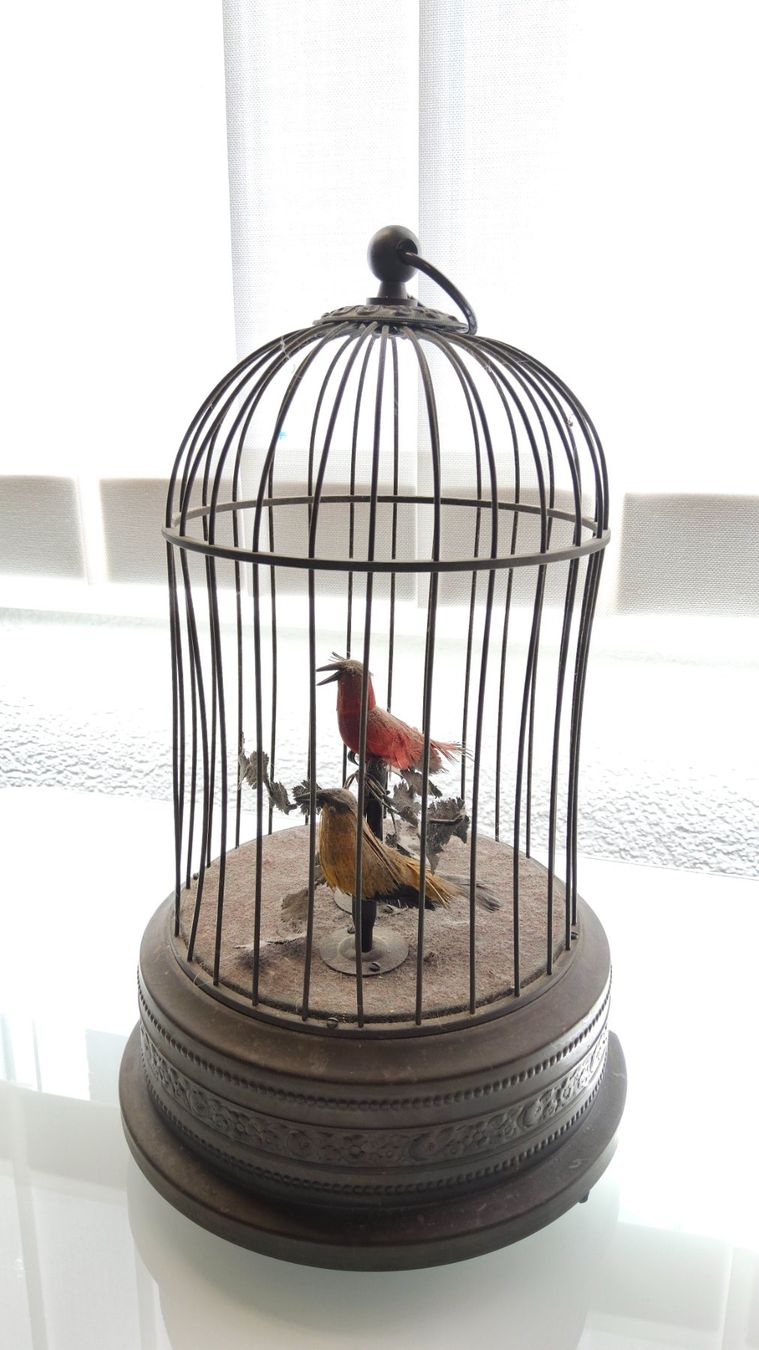 Carillon: Ancienne boîte à musique oiseaux chanteurs – Usato da Malleray venduto da Frederic24 3