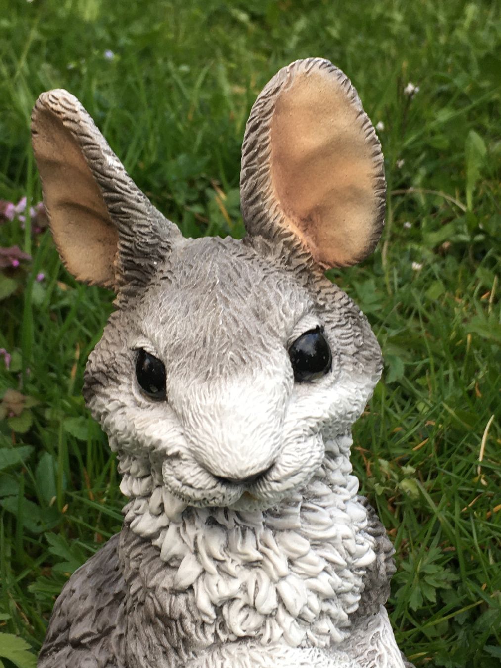 Tutte le decorazioni: Deko-Hase "Kollektion Castagna" – Usato da Bauma venduto da Budgerigar 1
