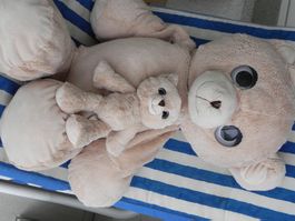 Teddy Bär XL Teddybär und Teddy mini Versand möglich