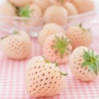 Fraise blanche Ananas   30x