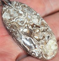 Anhänger L-4477 – Australischer Erdnuss Holz Fossil Jaspis