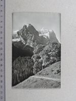 Rosenlaui, Kaltenbrunnenalp