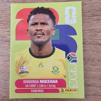 Pannnn Siyabonga Ngezana RSA8