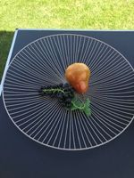 runde flache Gitterschale