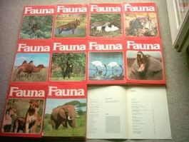 Fauna Serie 1-99 / Natur + Tiere der Savanne