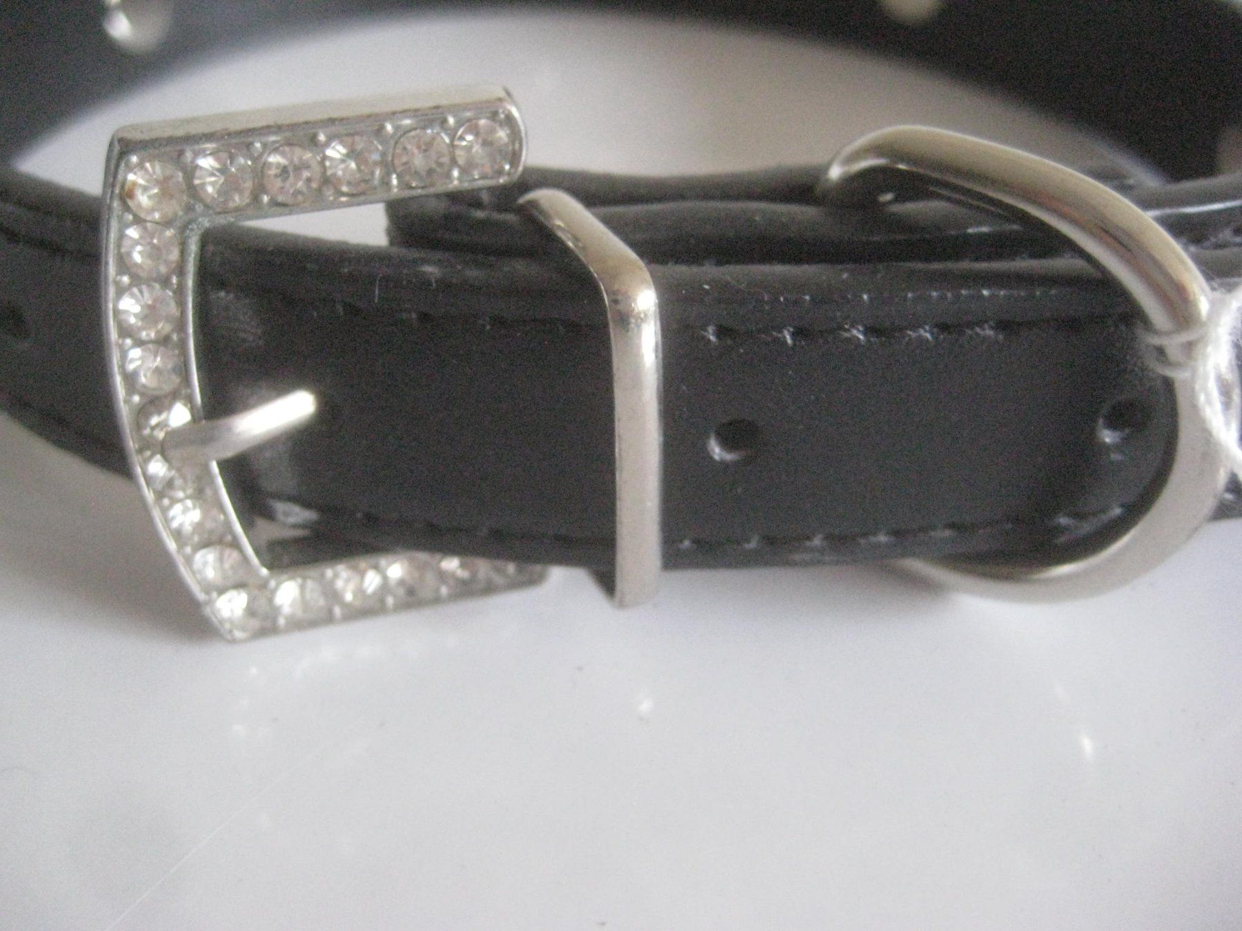 Leine & Halsband: HUNDE  HALSBAND – Neu (gemäss Beschreibung) aus Uster von flocke1 1