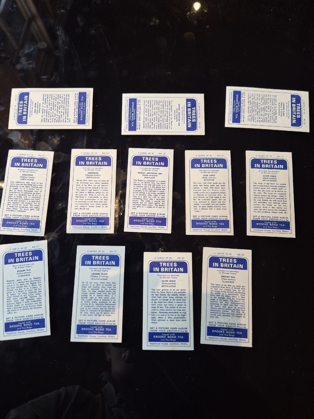Cartes à collectionner: Zigarettenbilder Bäume lot 17 – D'occasion à Hofstetten BE par hillhood 1