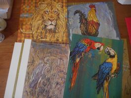 Diverse Tierbilder von Hug