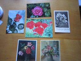 No2 schöne Postkarten Blumen