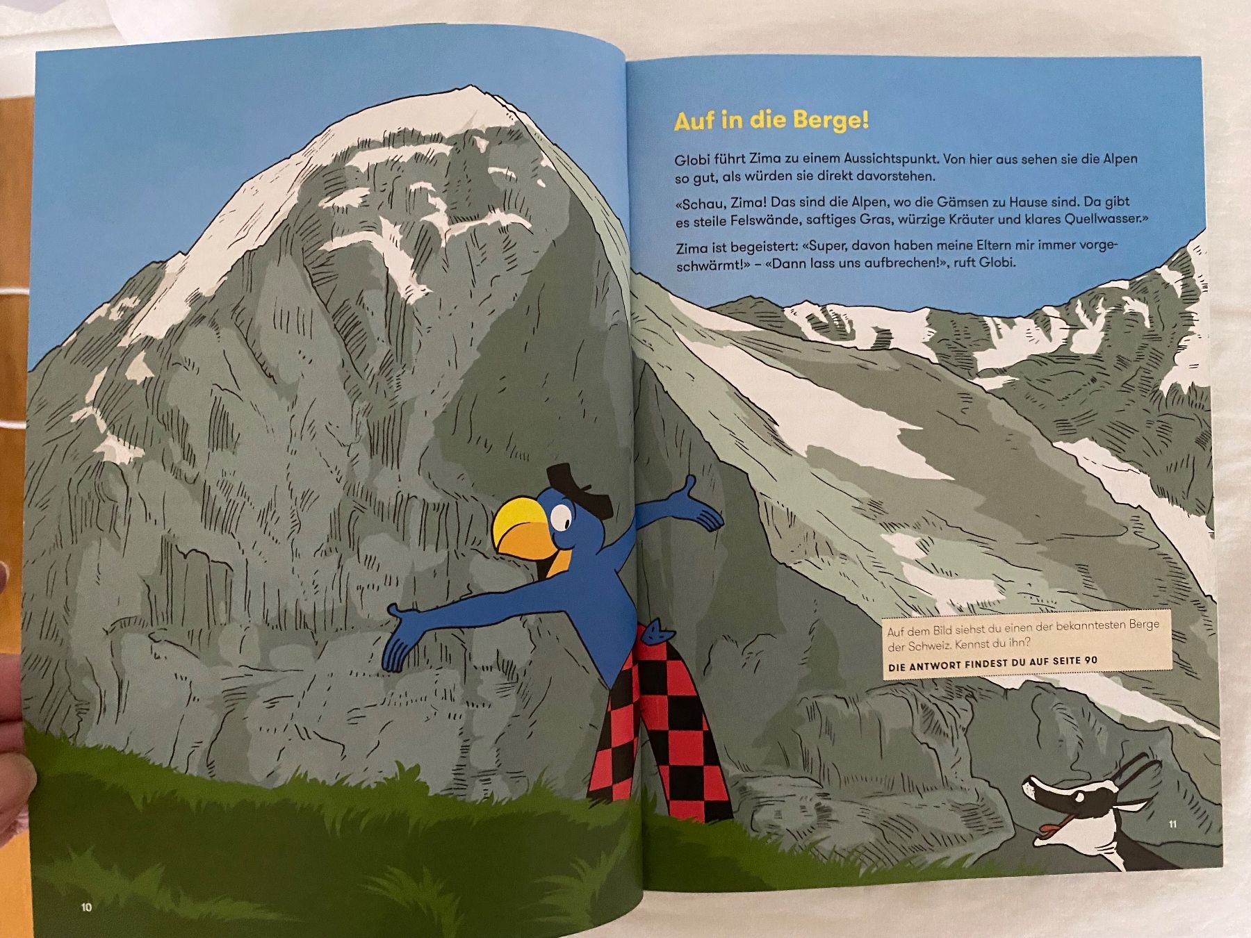 Libri: GLOBI IN DER BERGWELT UNBEMALT – Usato da Zürich venduto da Fashionparade 4