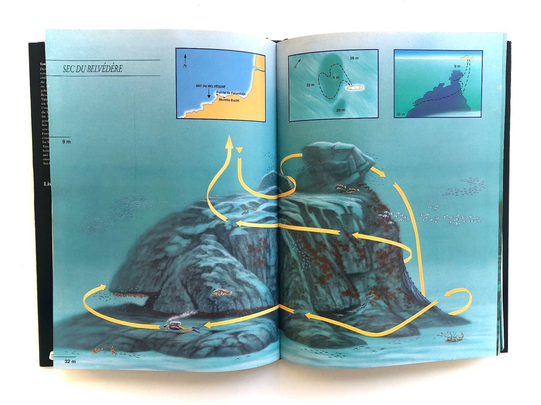 Altro per Immersioni: Buch: Korsika Tauchführer, K. Amsler – Nuovo e nell'imballaggio originale da Meilen venduto da tecdiver 2