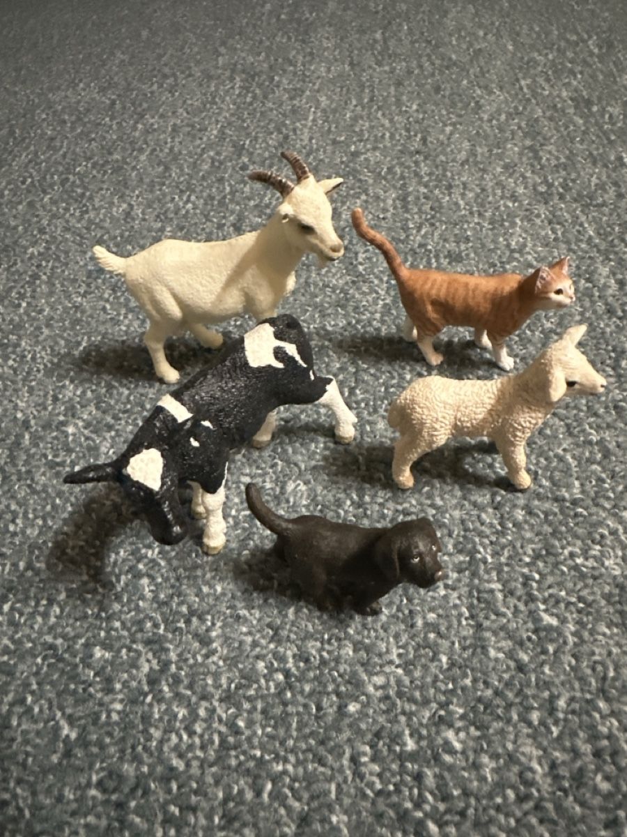 Schleich Spielzeuge: Schleichtiere/ Uhrenbuch – Neu (gemäss Beschreibung) aus Baltschieder von YmroBe