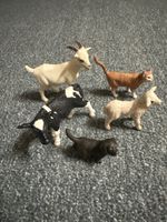 Schleichtiere/ Uhrenbuch