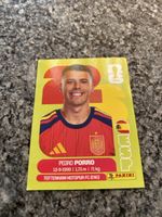 Panini 2026 ESP6