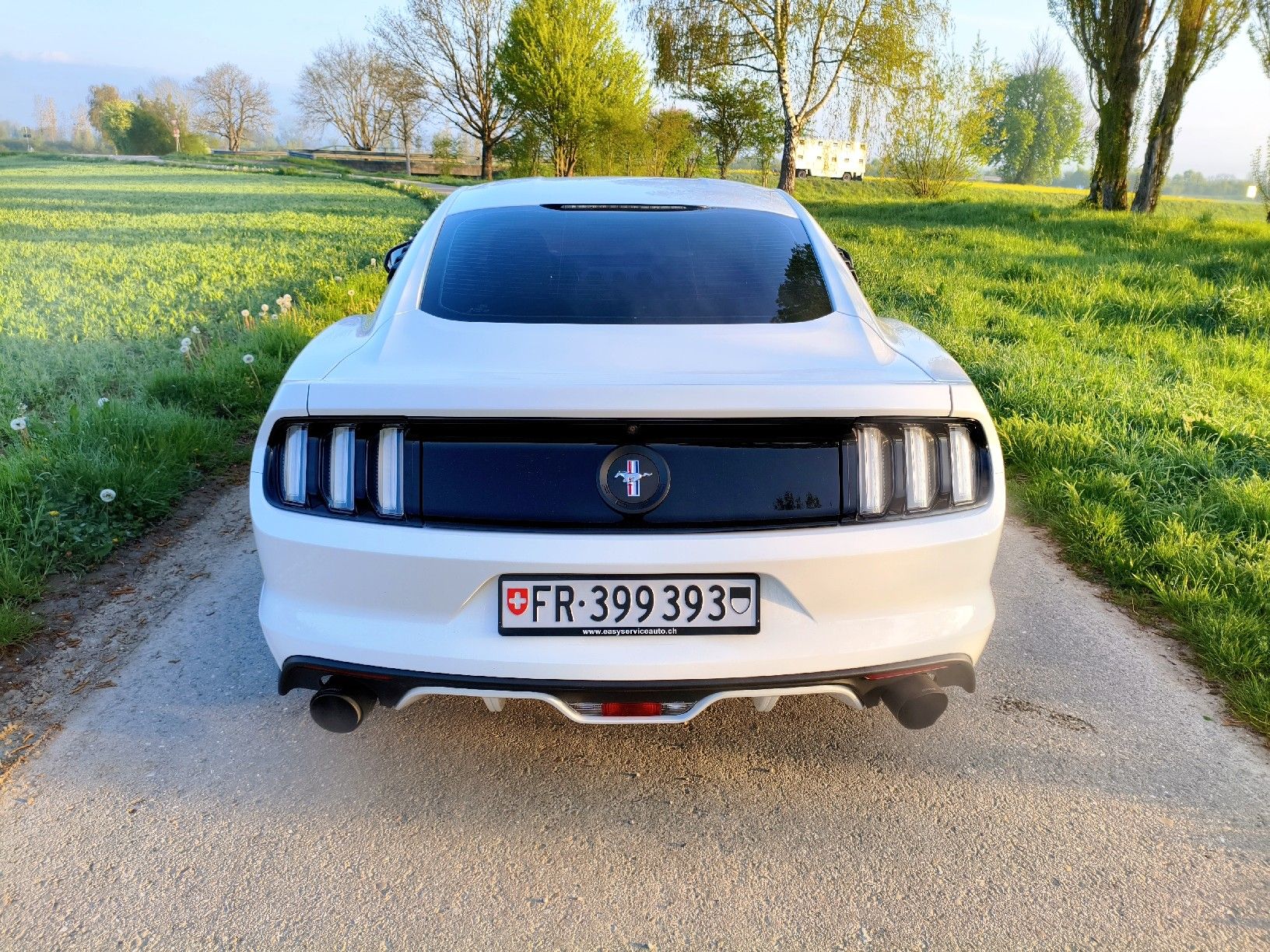Ford Automobili: Ford Mustang Fastback – Usato da Dompierre FR venduto da F.Blanco 4