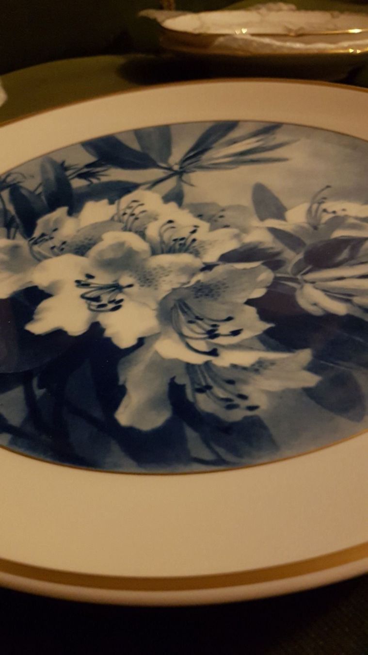 Piatti: Meissen Aquatinta Blume Wandteller – Nuovo (secondo la descrizione) da Urtenen-Schönbühl venduto da Cbuyer 1