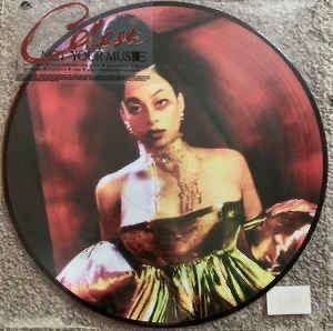 Dischi in vinile: Celeste- Not your muse (Pic. LP) – Nuovo e nell'imballaggio originale da Nidau venduto da ybm