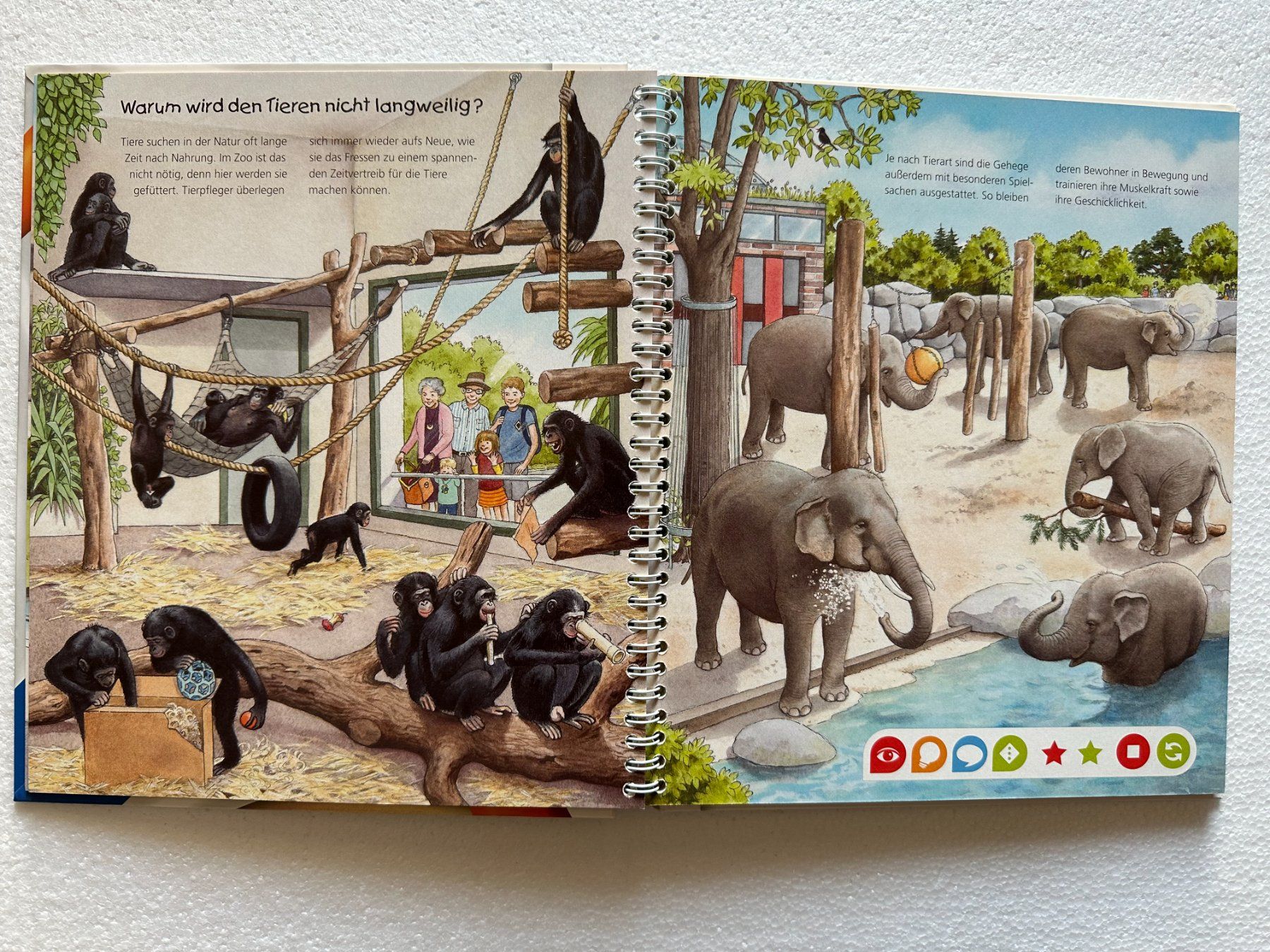 Libri: Ravensburger Tip Toi "Entdecke den Zoo" – Usato da Boppelsen venduto da KASIBO 1