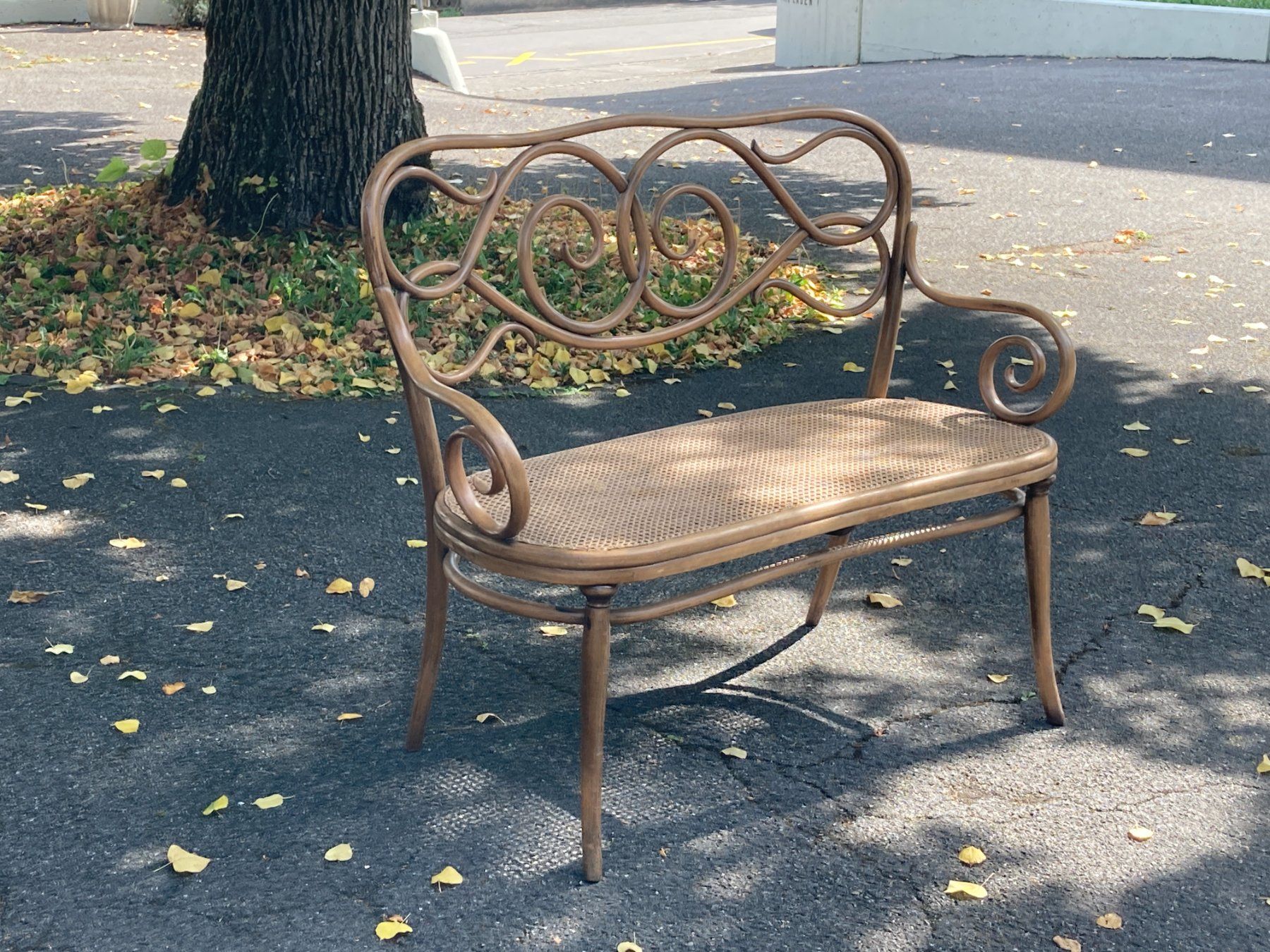Divani: Jugendstil Kanapee Sofa Thonet – Usato da Bottmingen venduto da ditschli63 1