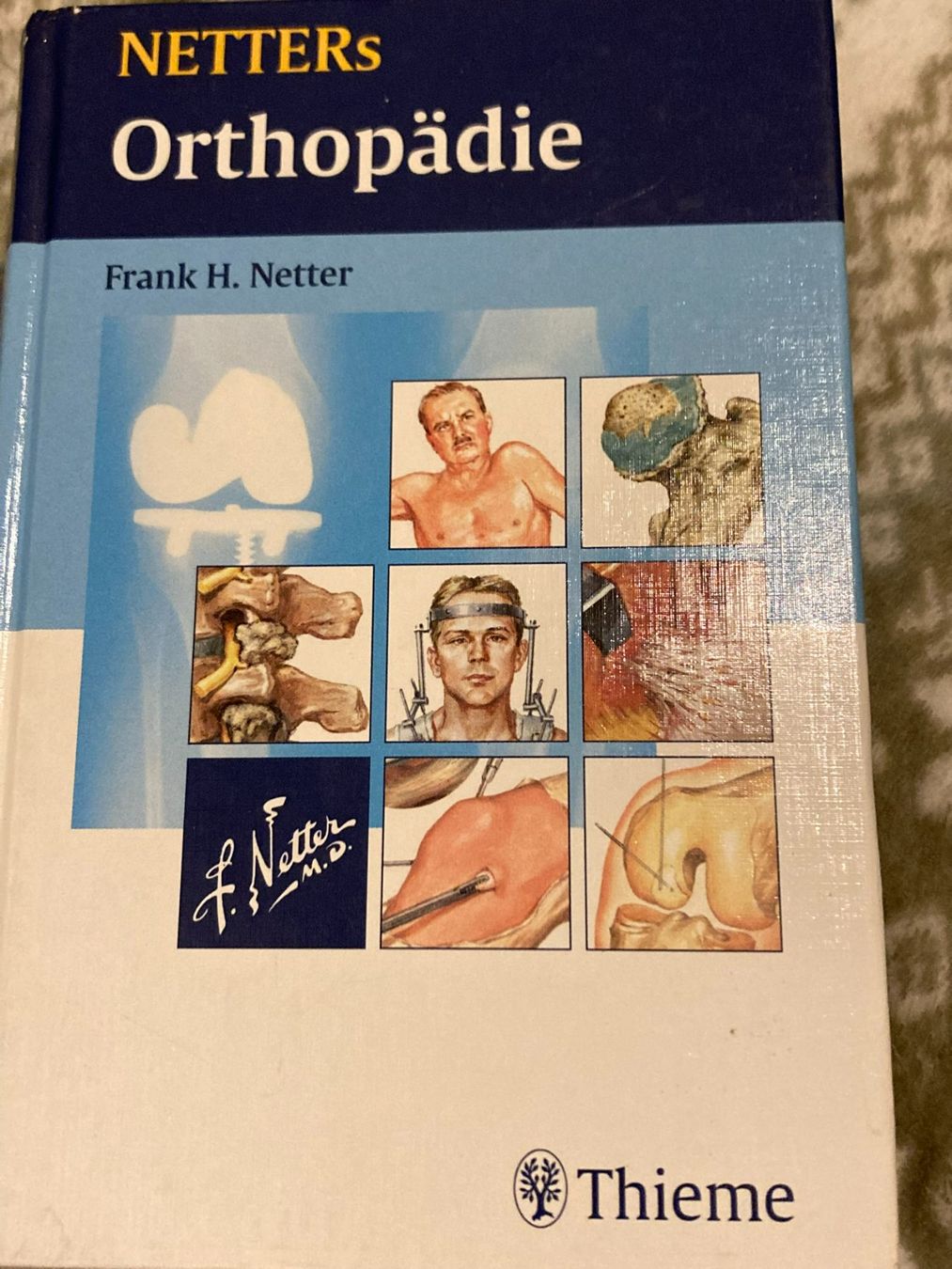 Libri: Netters Orthopädie – Usato da Niederscherli venduto da ypsilon315