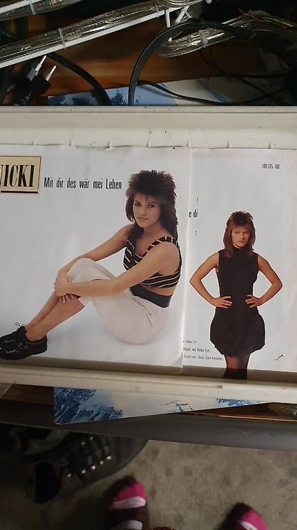Dischi in vinile: Biete 800 Schalplatten Singels – Usato da Kestenholz venduto da Rh1942 4