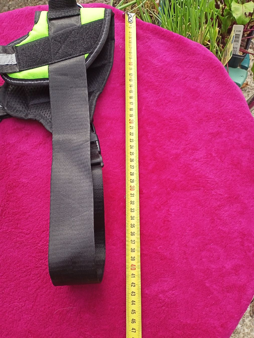 Leine & Halsband: Geschirr für ca. Border, Aussie, Labrador  – Neu (gemäss Beschreibung) aus Oftringen von Myti 4