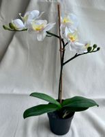 Kunst-Orchideen - weiss