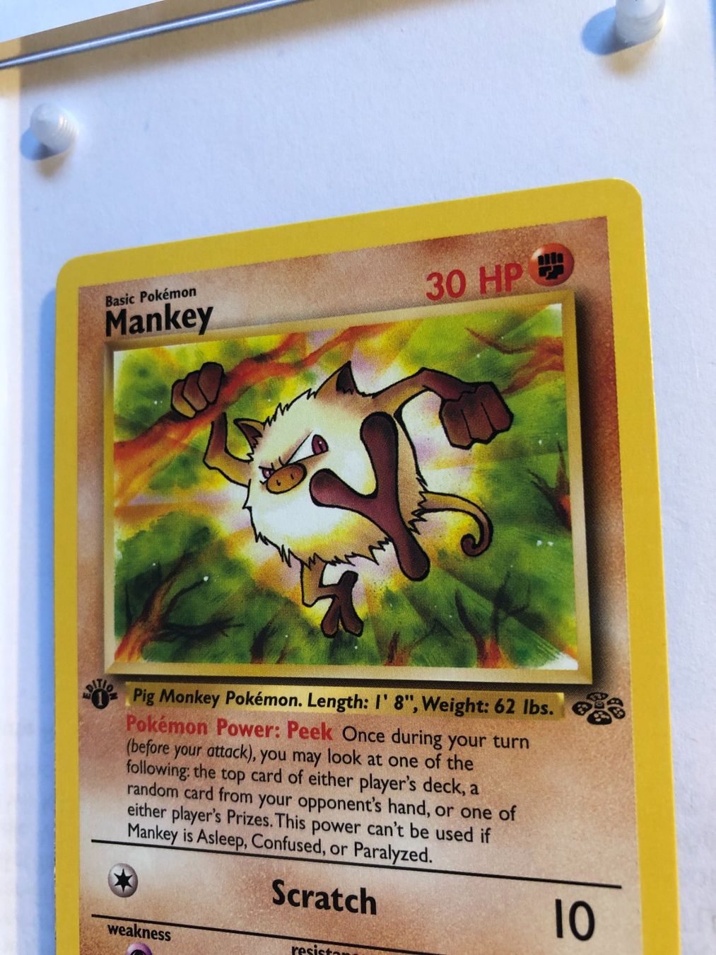 Sammelbilder & Trading cards: Mankey 1st Jungle - MINT - ab 1.- – Gebraucht aus Giubiasco von dan_pr8b 3