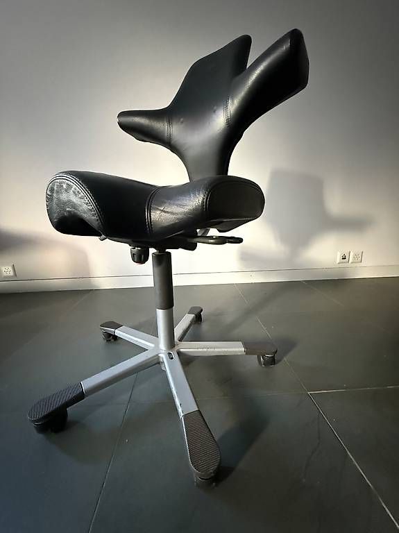 Håg Chaises: Ergonomischer Designer-Bürostuhl – D'occasion à Zürich par Domiloch11