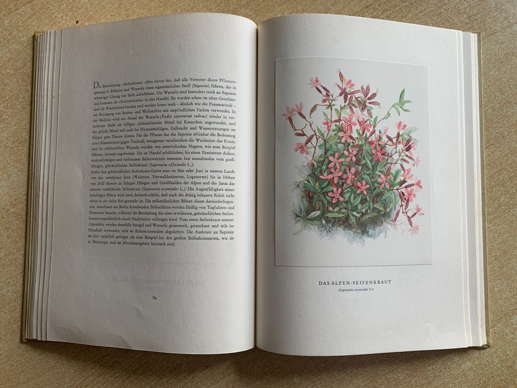 Libri: Buch "Bergblumen der Heimat" – Usato da Flums venduto da finn1975 5