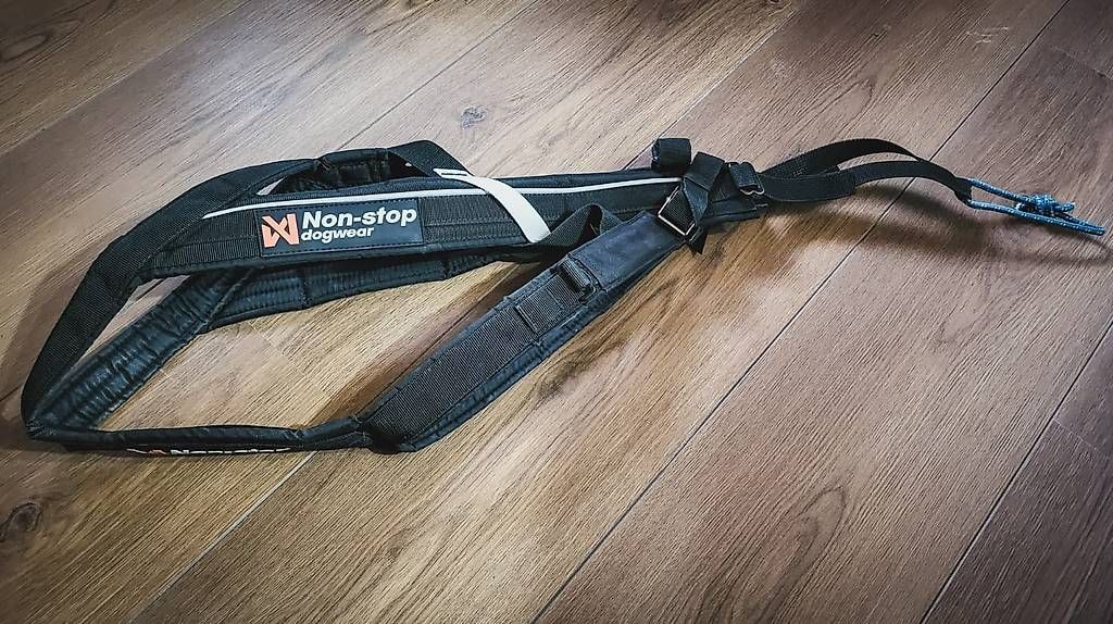 Guinzagli & Collari: Non-stop DogwearFreemotion Harness Grösse 7 – Nuovo (secondo la descrizione) da Näfels venduto da AllerleiCH 2