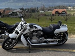 Harley Davidson V-Road Muscle (Porsche)