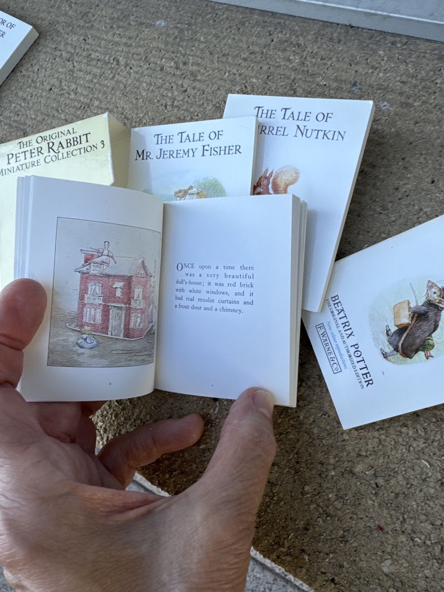 Bücher: Peter rabbit mini.collectionn2&3 – Gebraucht aus Zürich von funkelnderstern 3