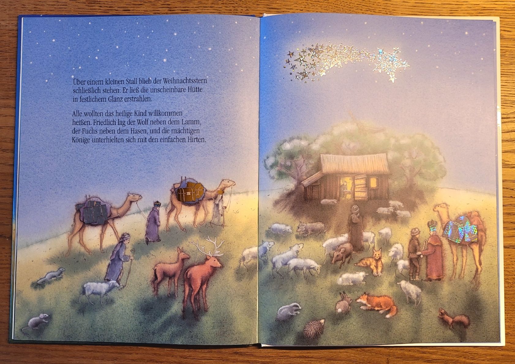 Libri: Der Weihnachtsstern – Nuovo (secondo la descrizione) da Winterthur venduto da Barbarav 1