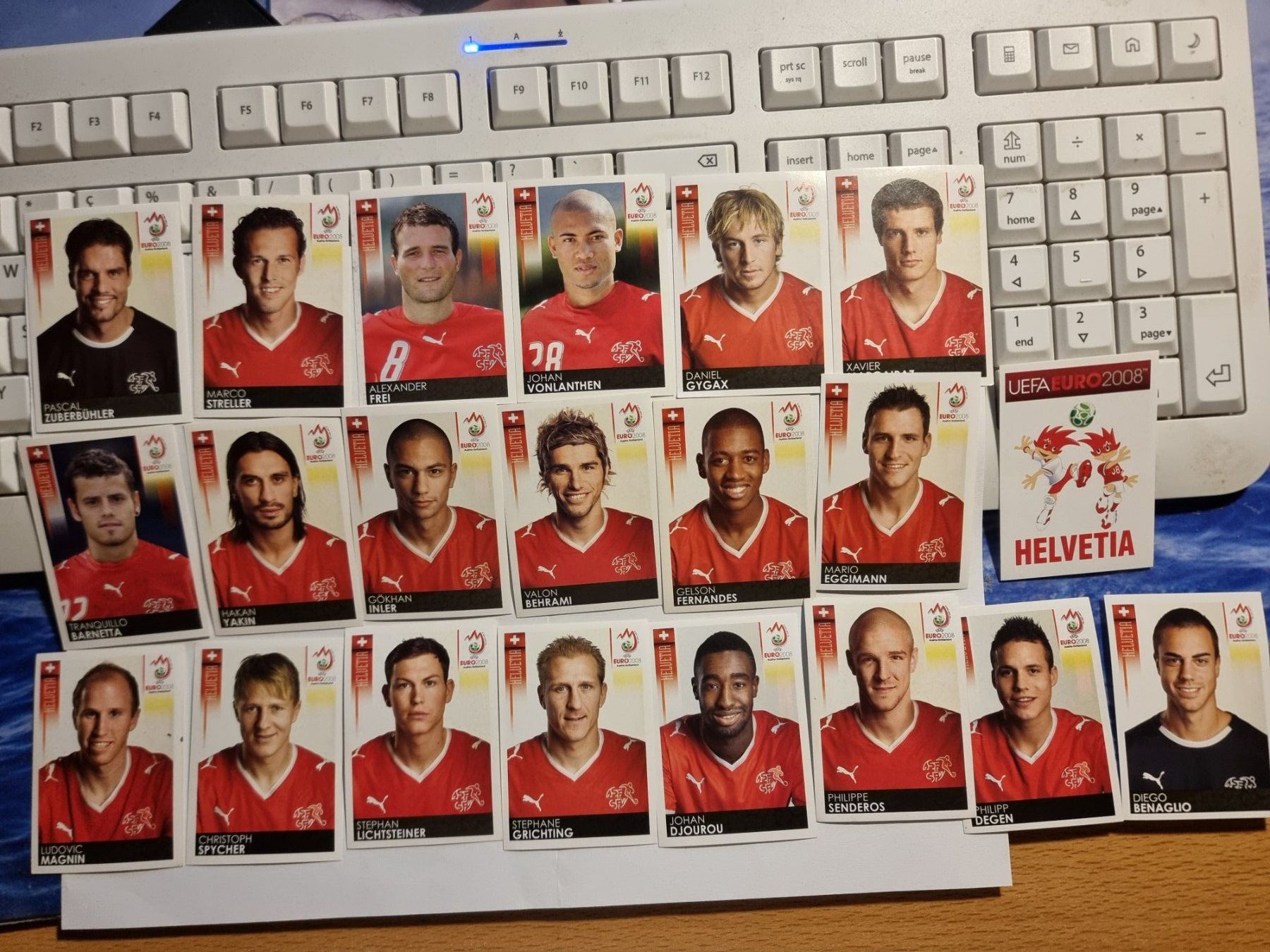 Panini Cartes à collectionner: panini euro 2008 stickers schweiz – Neuf (Voir description) à Oberglatt ZH par paninistickersworld
