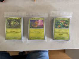 Pokémon Karten Perfect Order, Chaos Rising & Pitch Black