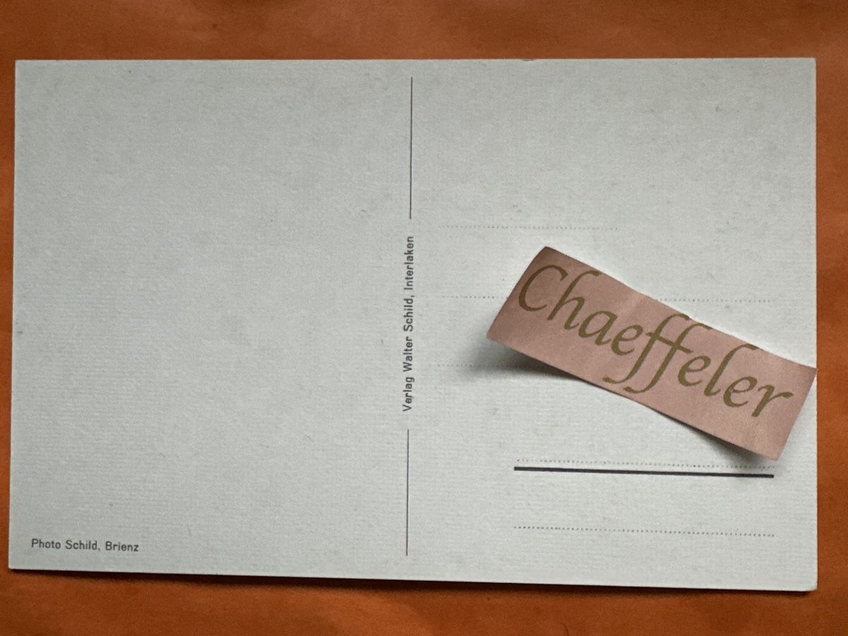 Cartoline postali: Brienzwiler, Schweiz  – Usato da Zürich venduto da Chaeffeler 1