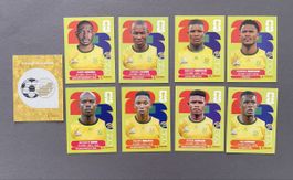 Panini Sticker RSA 1, 4, 5, 6, 8, 10, 12, 14, 15