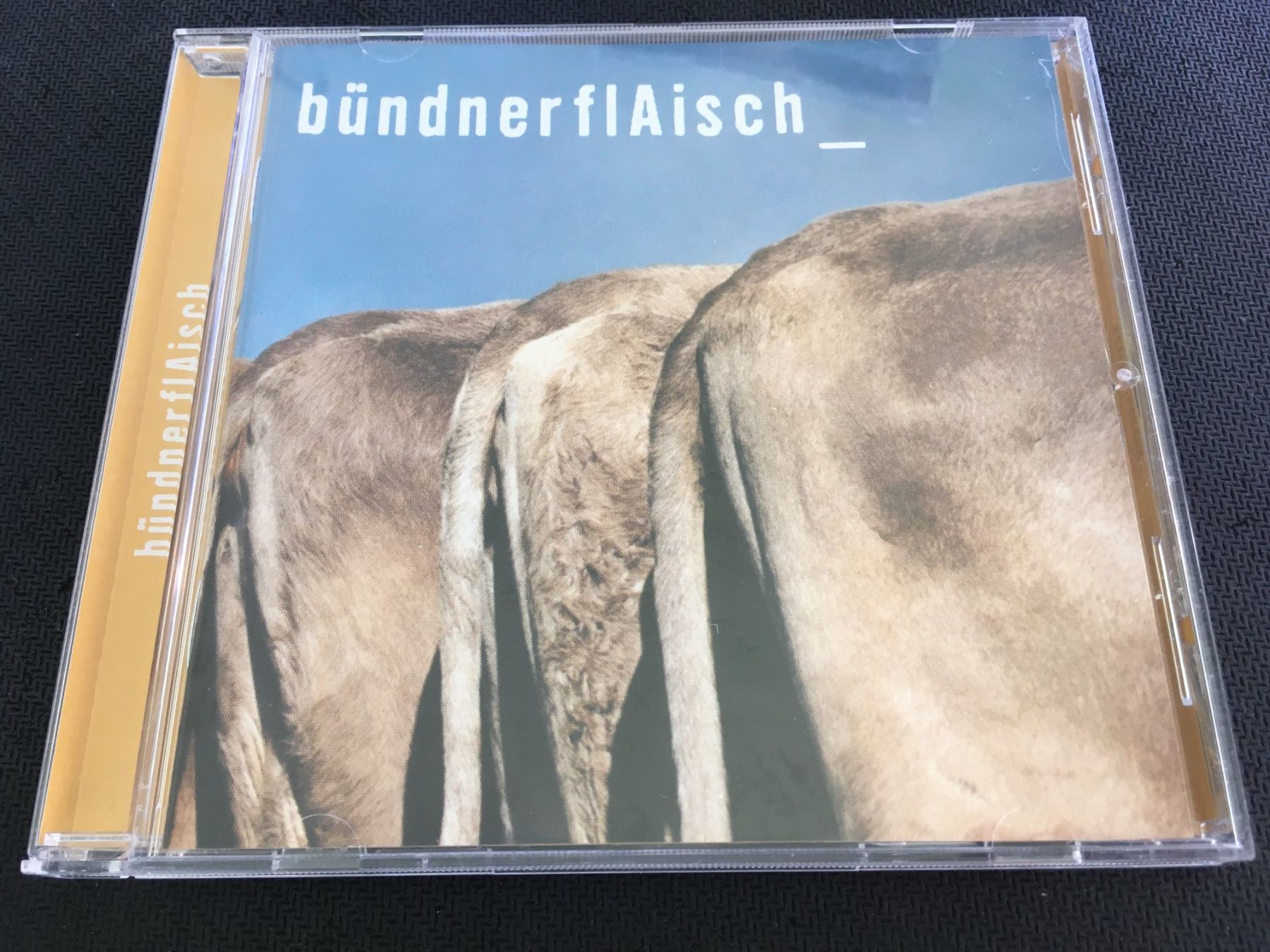 CD: Bündnerflaisch -CD- – Usato da St.Gallen venduto da MedienJoe