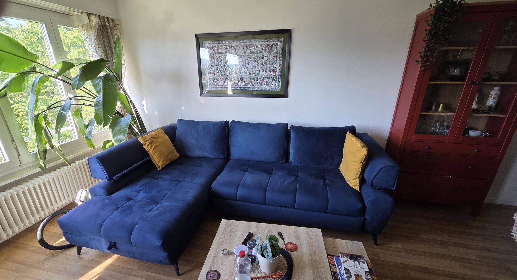 Conforama Divani: Velvet Sofa in pristine condition – Nuovo (secondo la descrizione) da Olten venduto da pan_l2rt