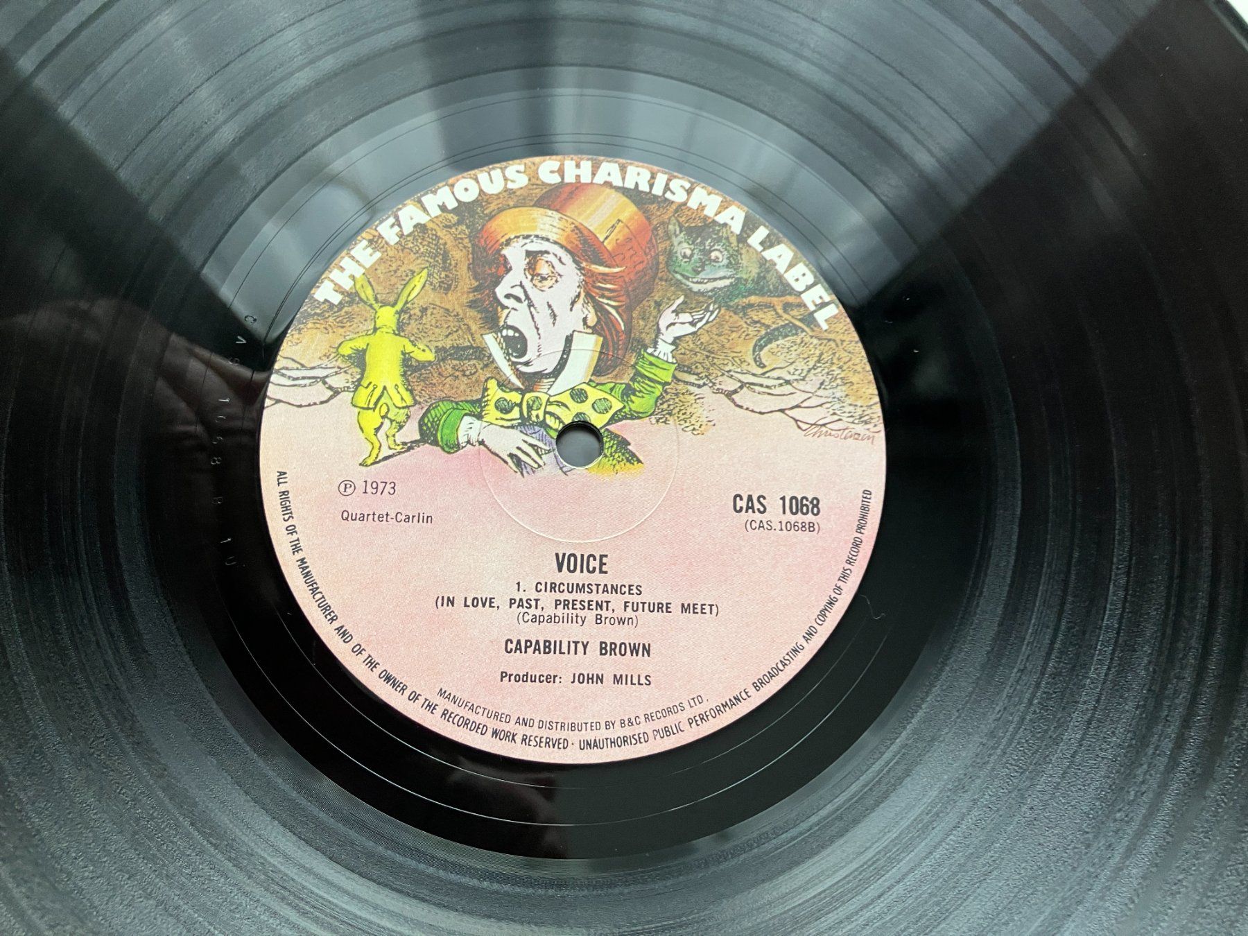 Dischi in vinile: Capability Brown – Usato da Aarwangen venduto da Jukebox3 7