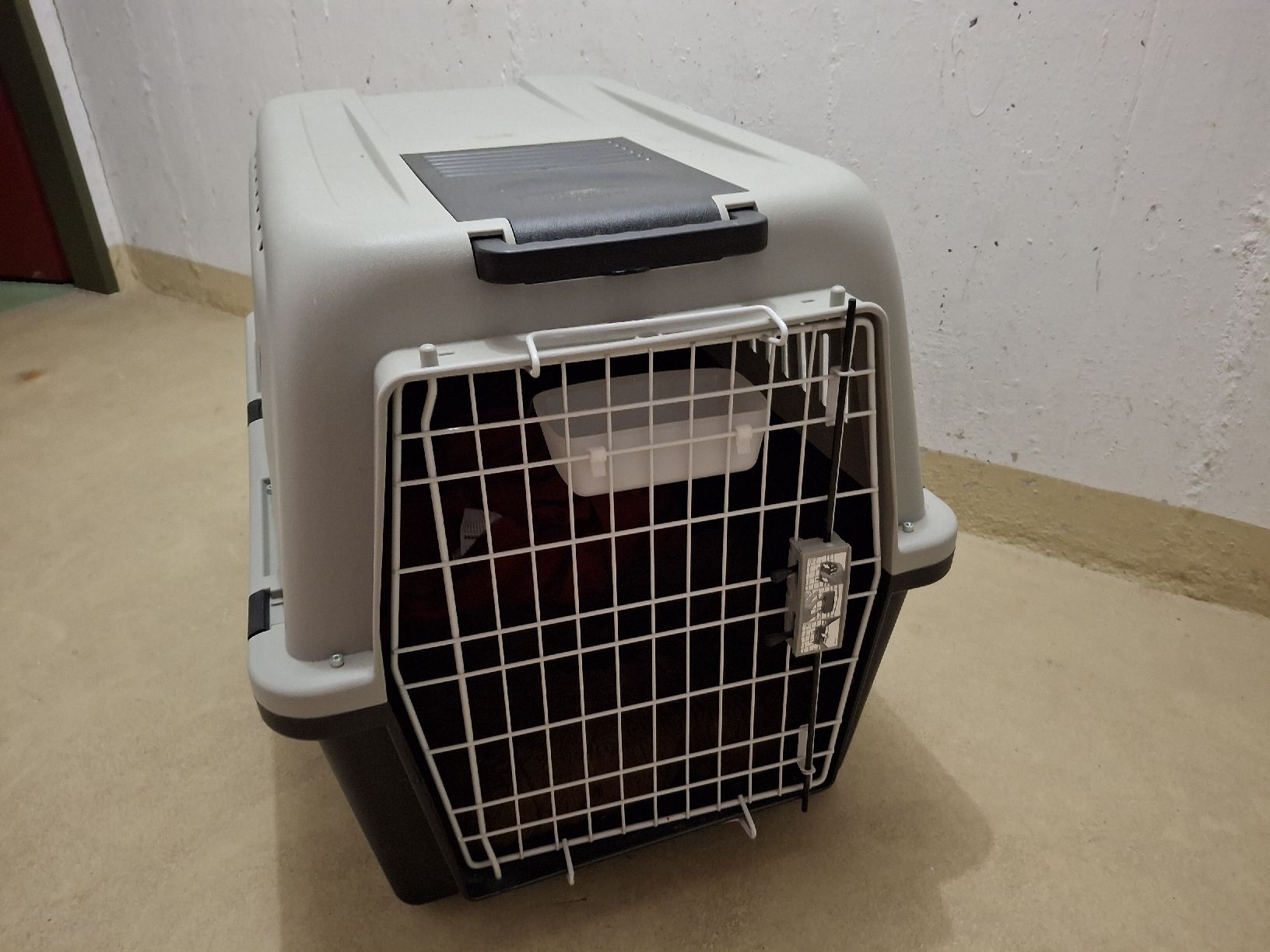 Cages, transport & sécurité: Hundebox gebraucht, funktionsfähig – D'occasion à Gattikon par cbe_9x5c 4